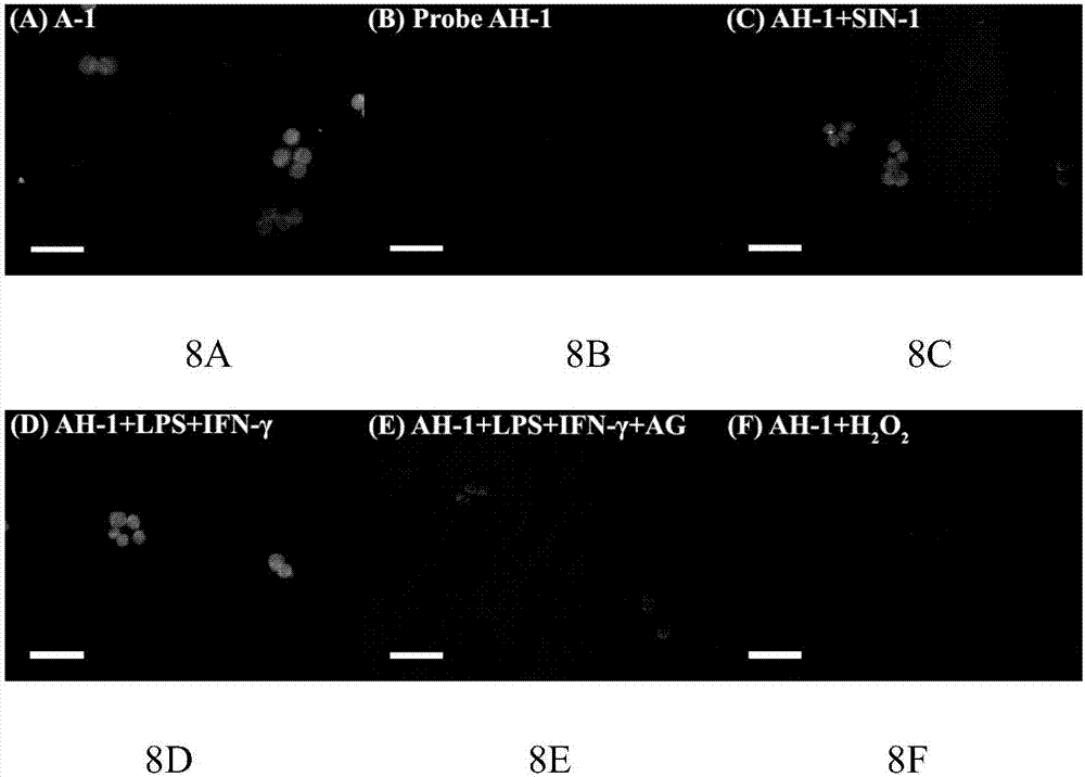 Peroxynitrite ion detection probe as well as preparation method and application thereof