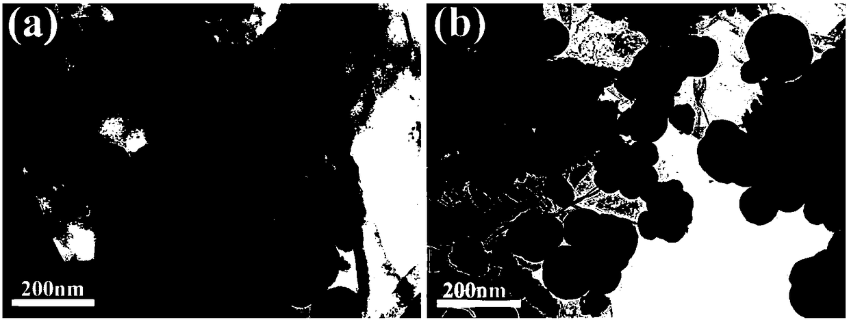 Preparation method of sodium alginate coating with strontium chelated on titanium surface