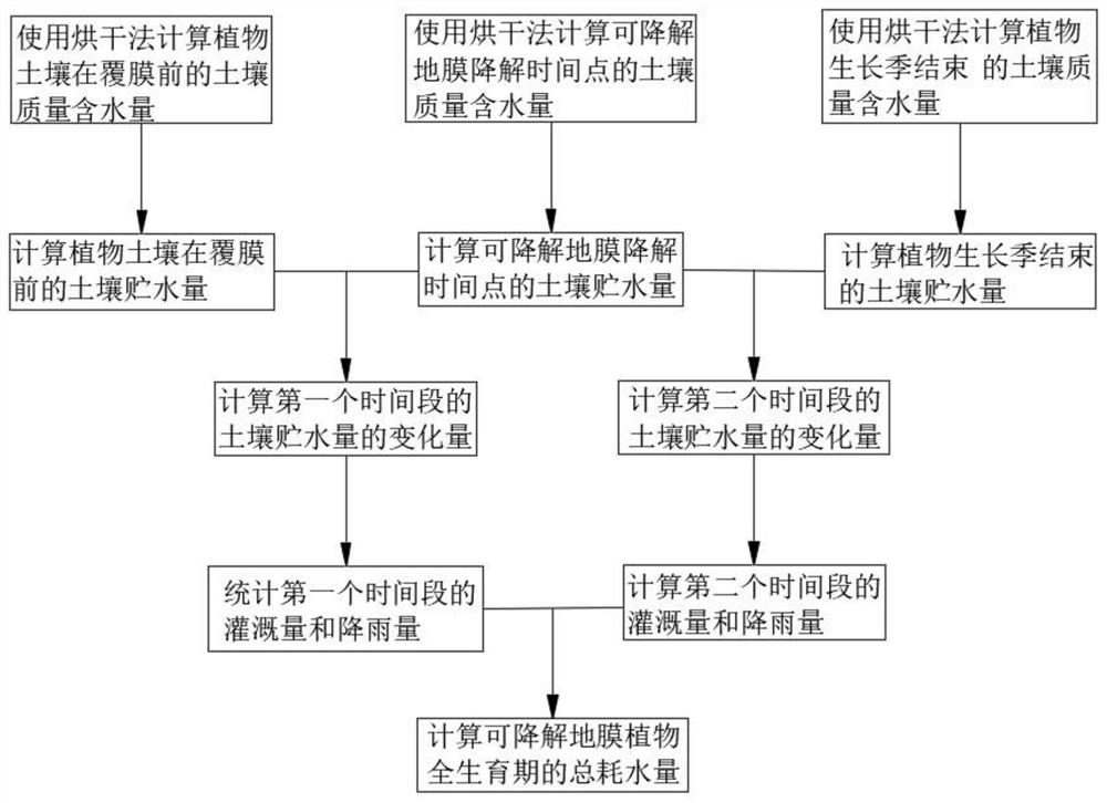 Method for calculating water consumption of plant covered with degradable mulching film