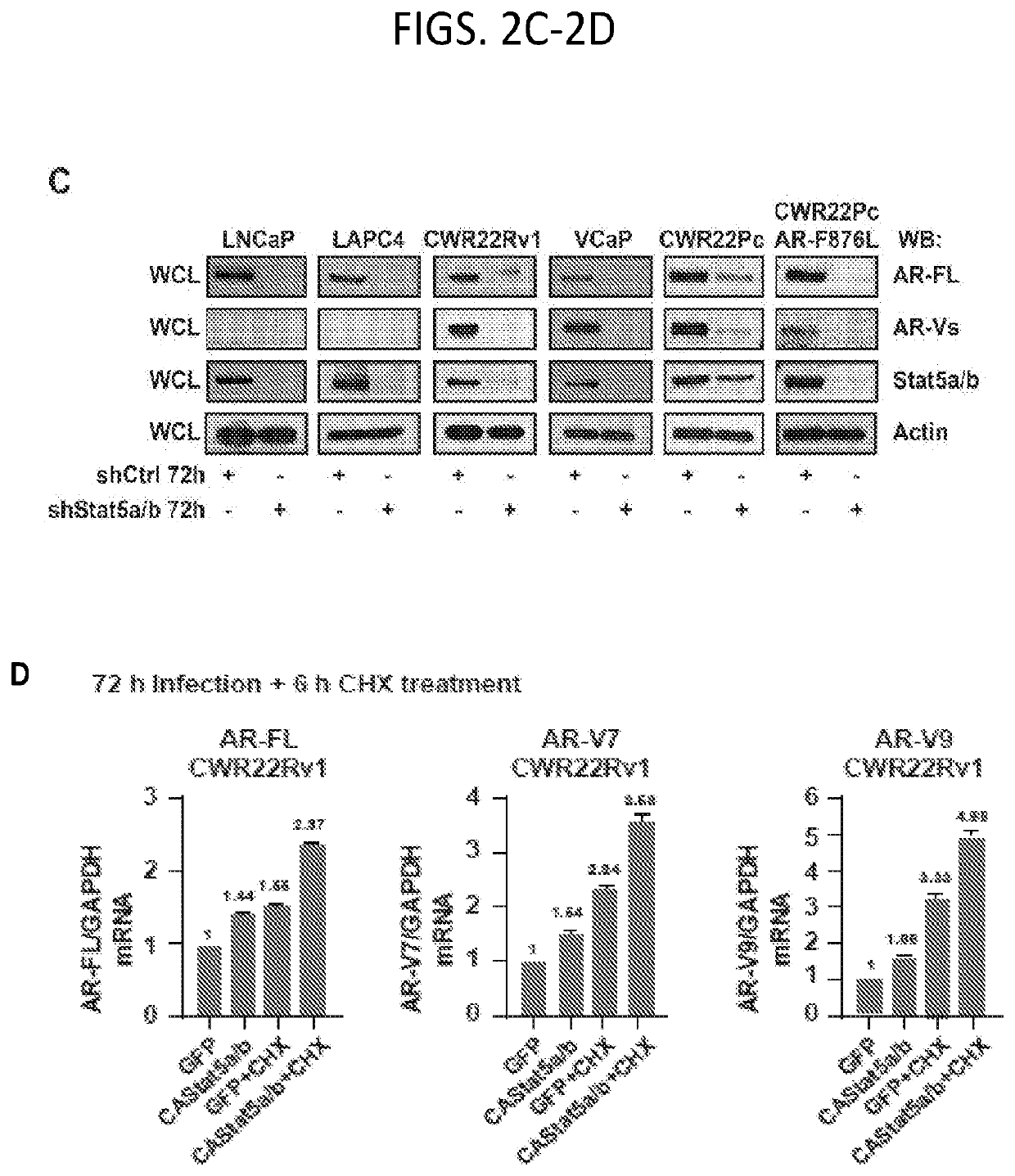 Methods of Treating Advanced Prostate Cancer