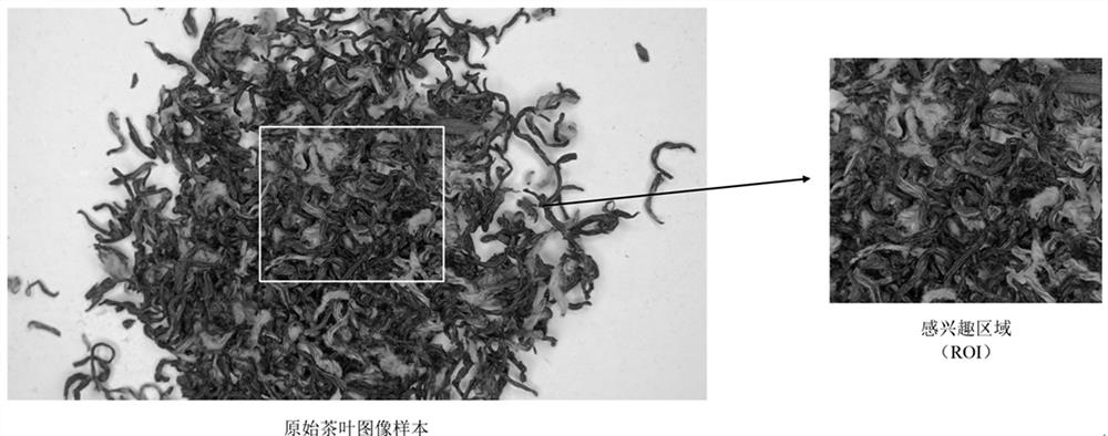 Finished tea type and grade identification method based on image color and texture features