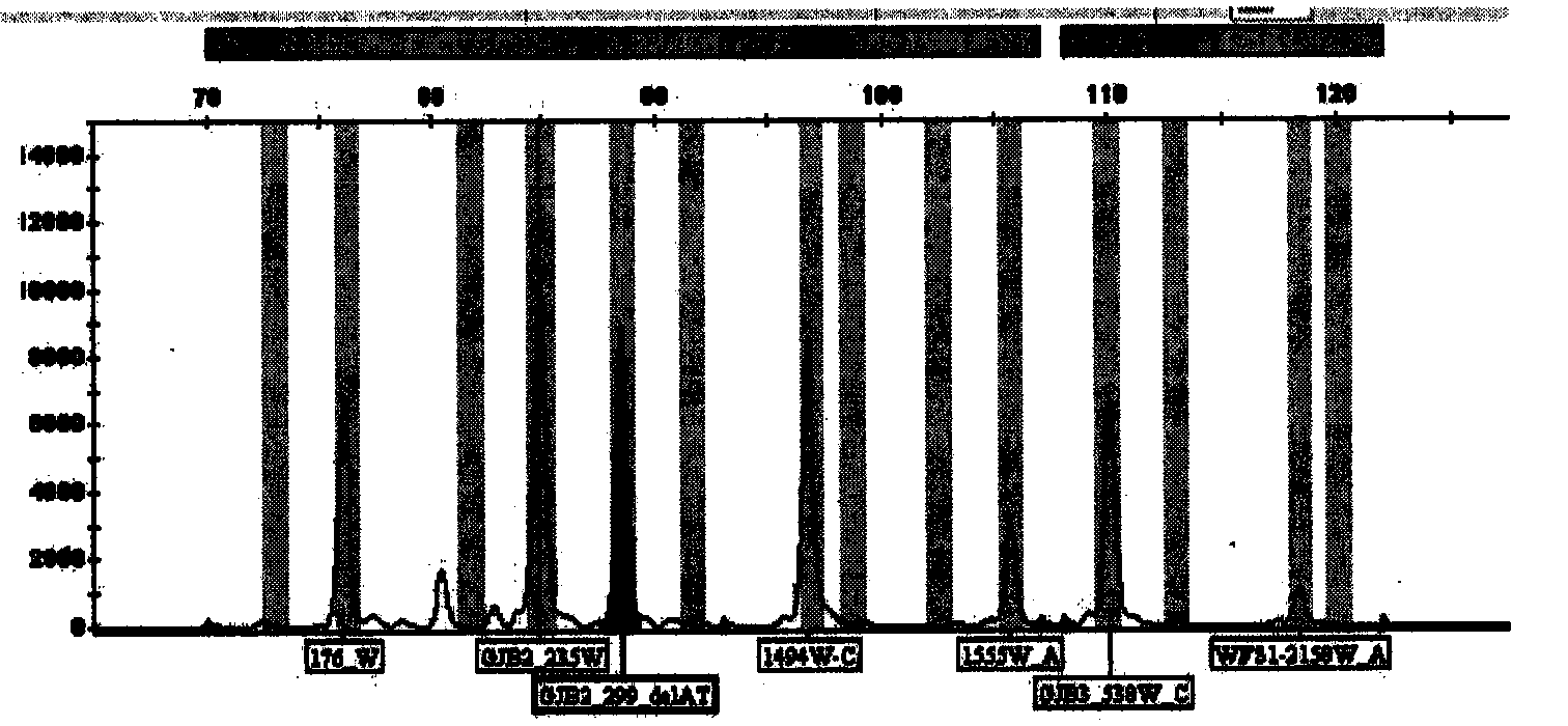 Multiple PCR-LDR (polymerase chain reaction-ligase detection reaction) detection kit for multiple deaf susceptibility genes with high specificity at 14 sites