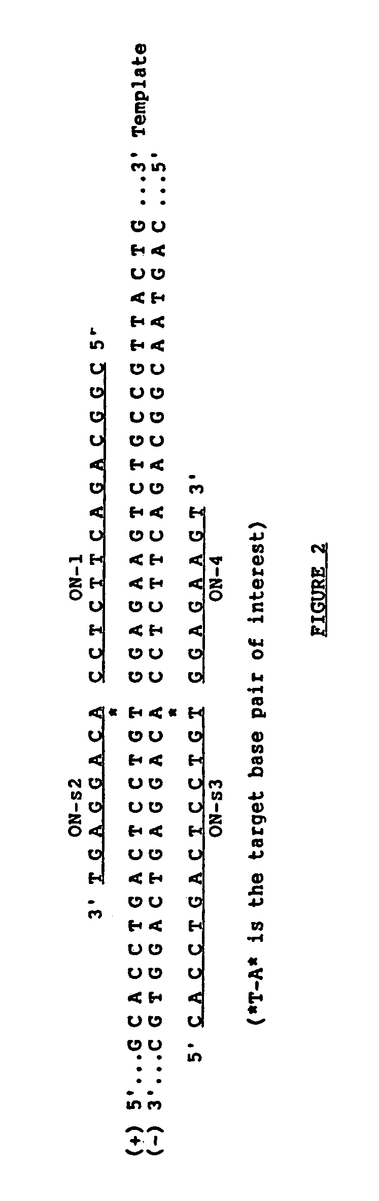 Ligation amplification of nucleic acid sequences