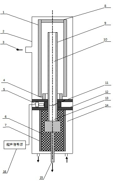 Method and device for directionally solidifying liquid/solid interface based on ultrasonic wave modulation