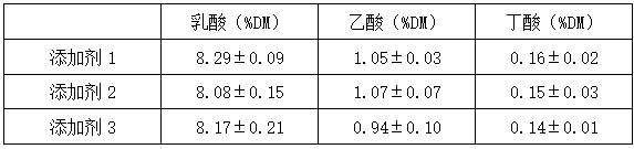 Microbial preparation containing multiple lactic acid bacteria and application of microbial preparation in corn silage