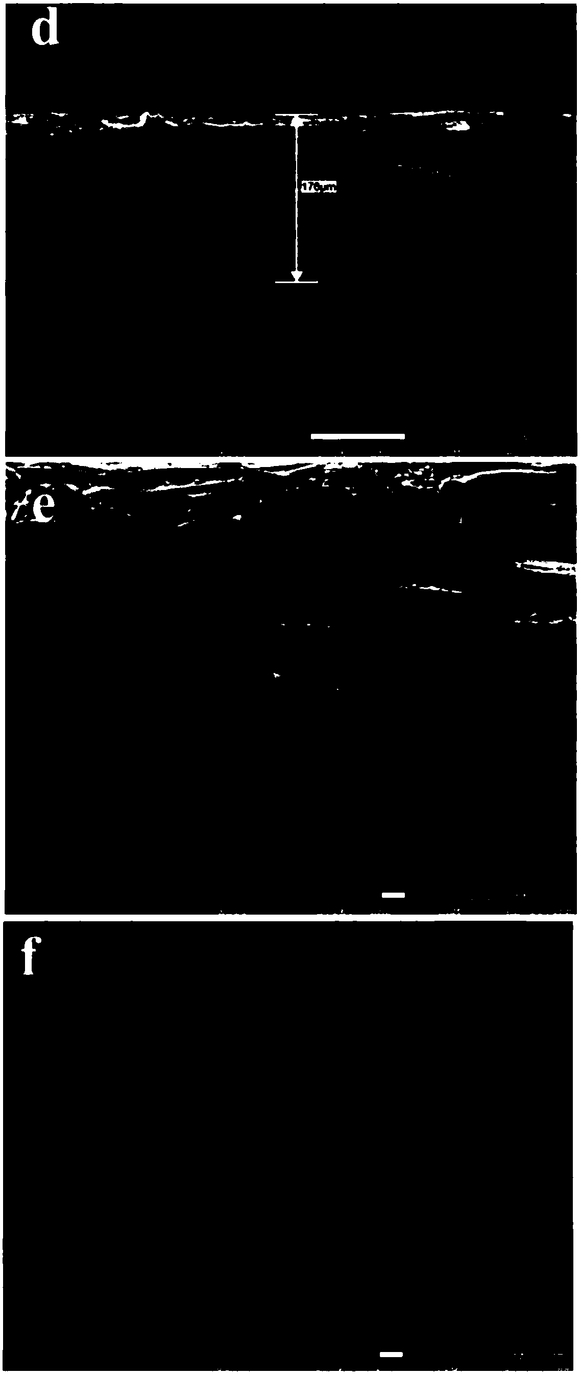 A high-performance carbon paper-based electrode negative electrode composite material and its preparation method and application