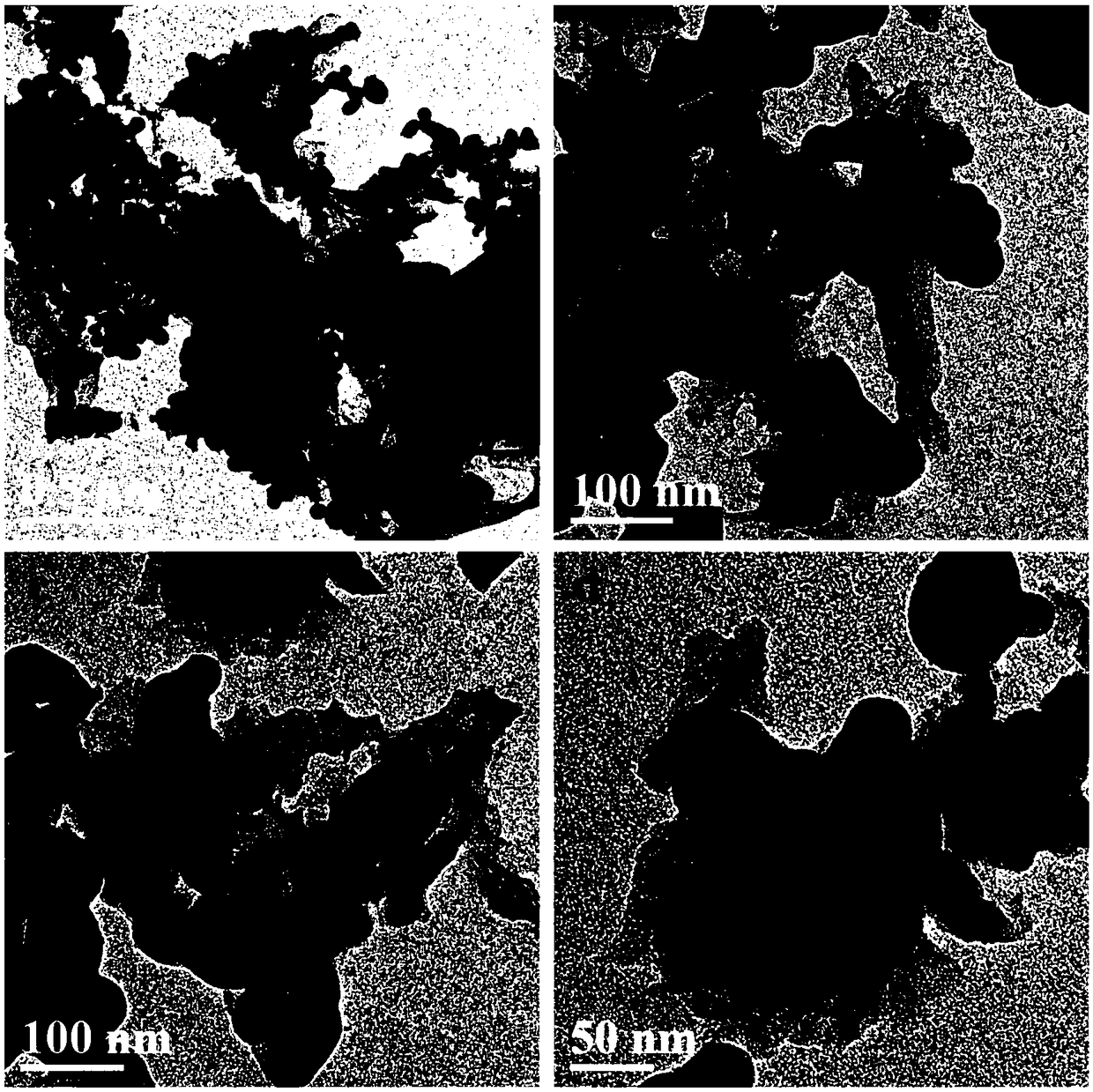 A high-performance carbon paper-based electrode negative electrode composite material and its preparation method and application