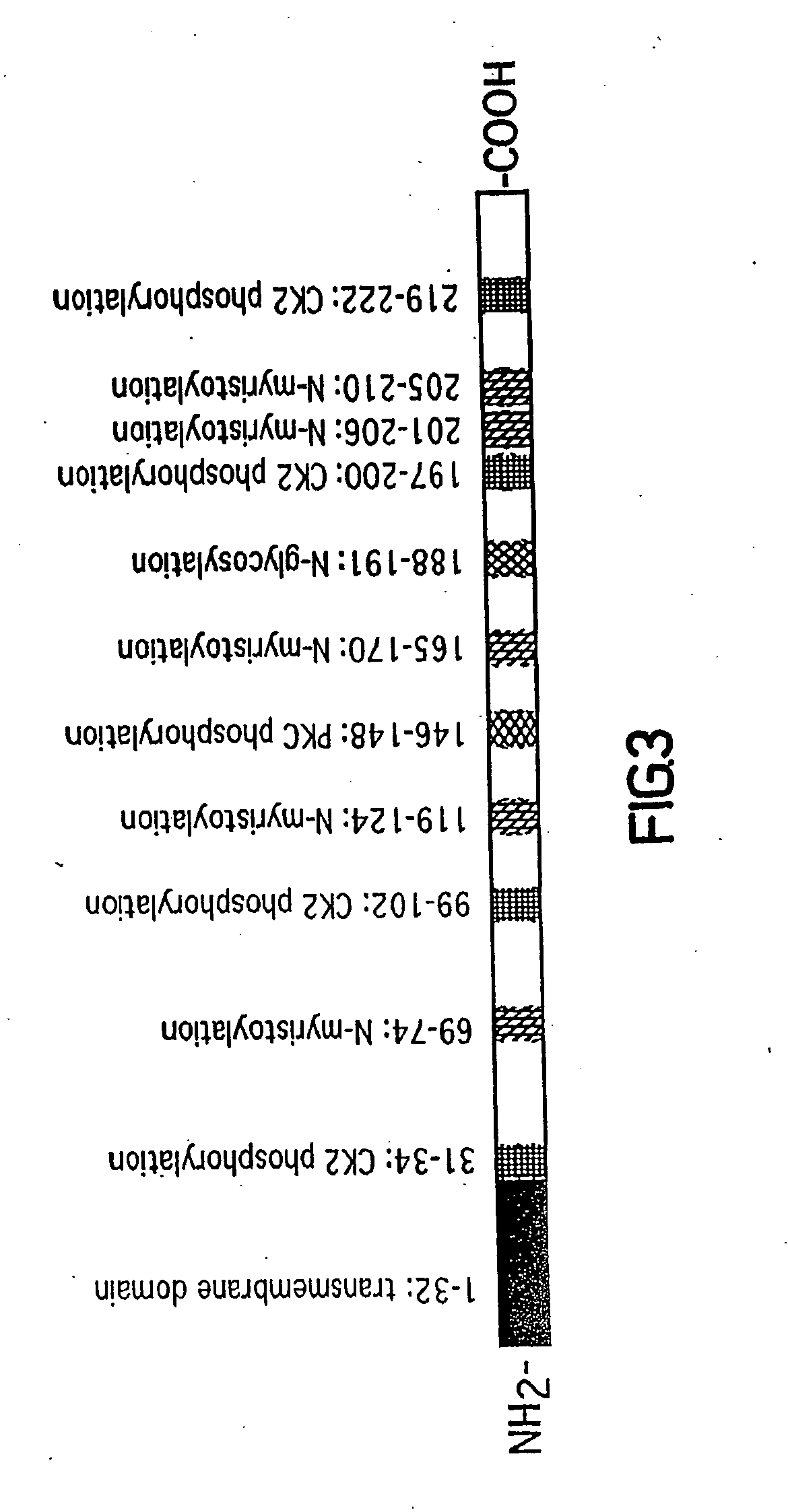 Compositions, methods and kits relating to CTHRC1, a novel modulator of collagen matrix