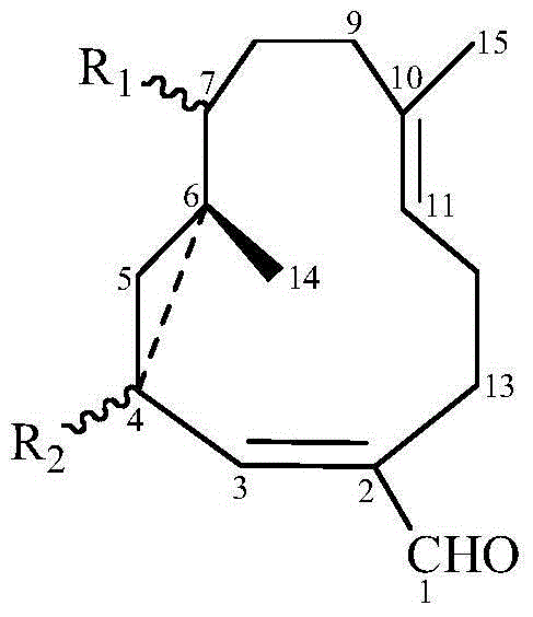 Uses of macrocyclic germacrane sesquiterpenoids in preparation of anticomplementary drugs