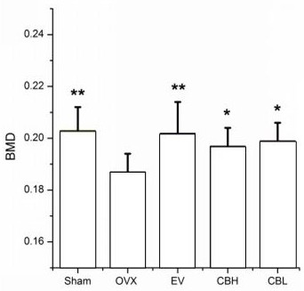 Application and pharmaceutical composition of the extract of yin xiang leaf as preparation of medicine for treating osteoporosis