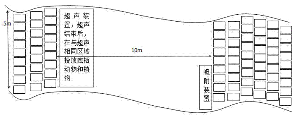 Method for in situ removal of polycyclic aromatic hydrocarbons from river water system sediments