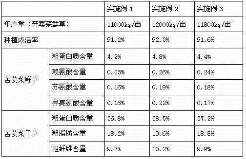 Saline-alkali soil trace-element-rich brackish water irrigation method and application thereof in indian lettuce planting