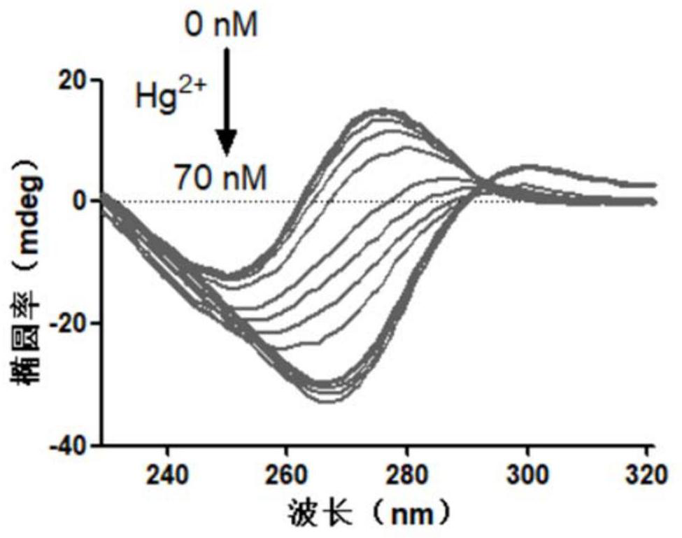 A kind of assay method and application of terminal deoxynuclease activity