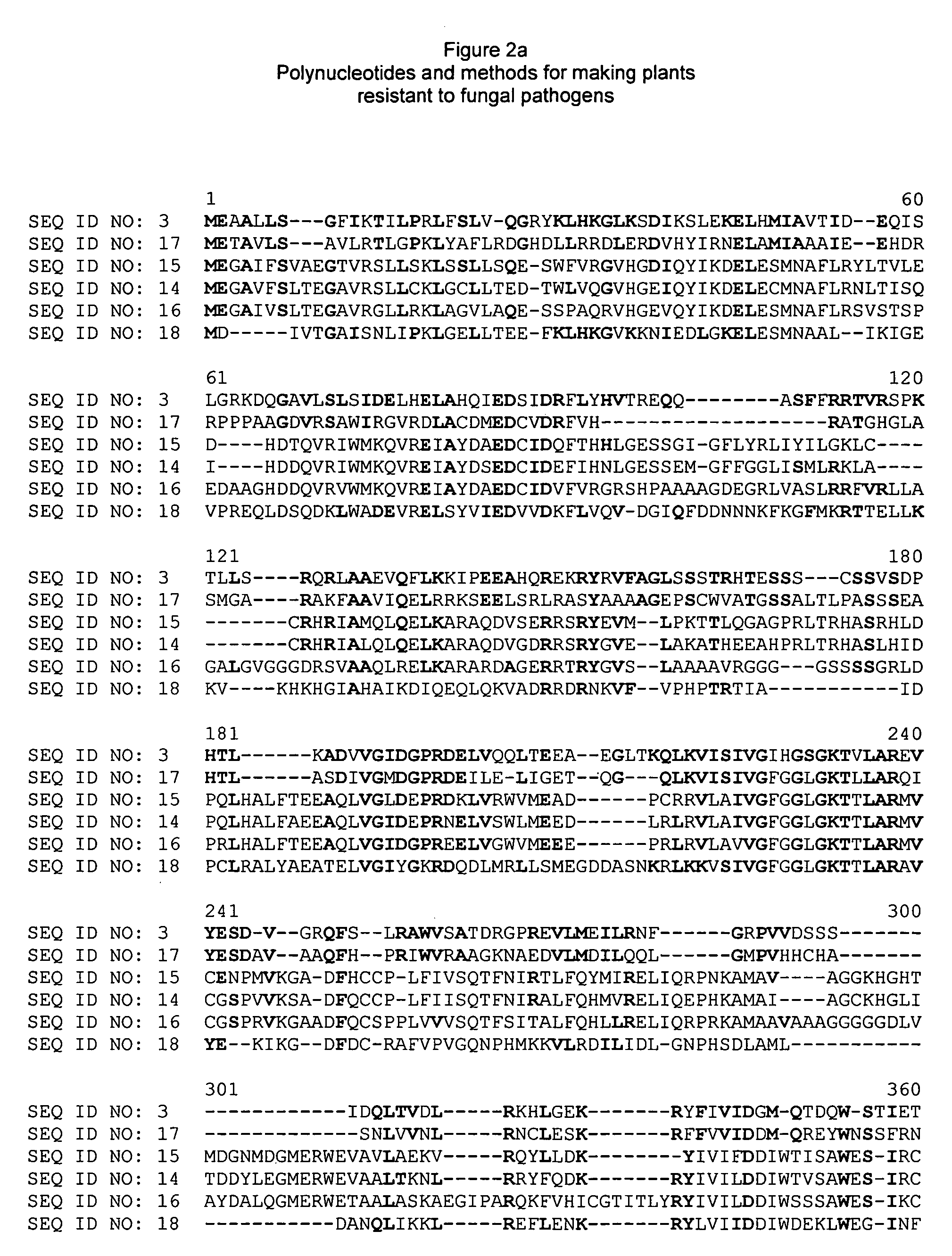 Polynucleotides and methods for making plants resistant to fungal pathogens