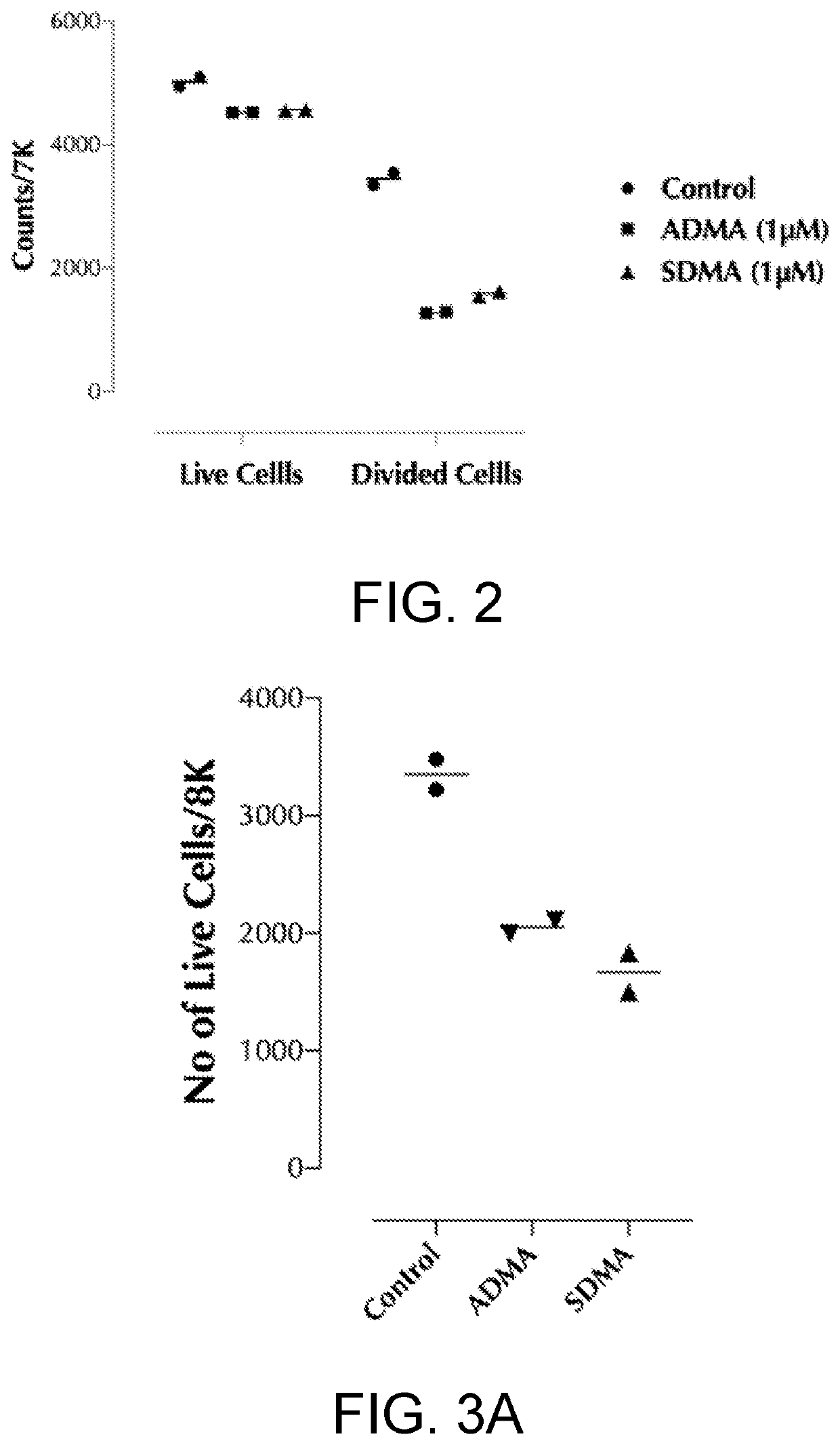 Method of inhibiting the proliferation of t and/or b lymphocytes via dimethylarginine derivatives and lymphocytes proliferation inhibitor