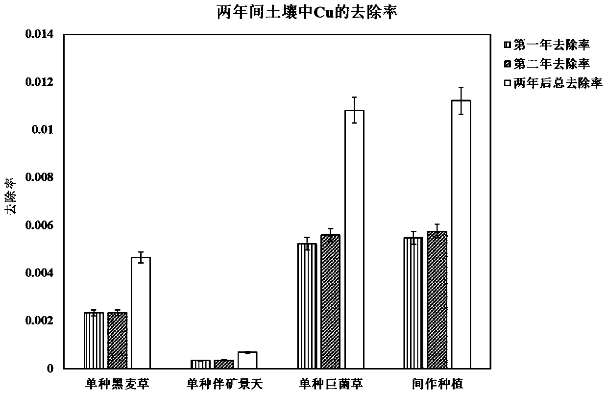 Method for removing heavy metal organisms from soil