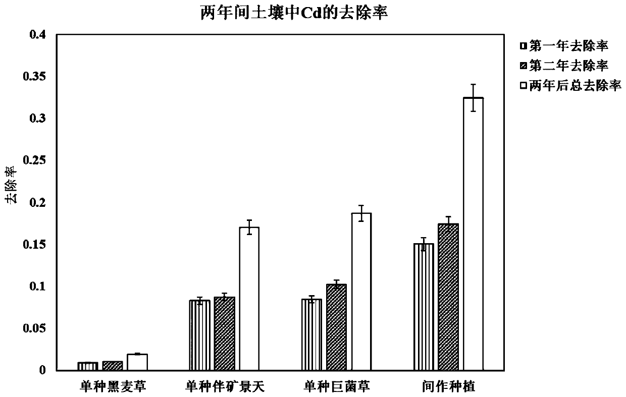 Method for removing heavy metal organisms from soil