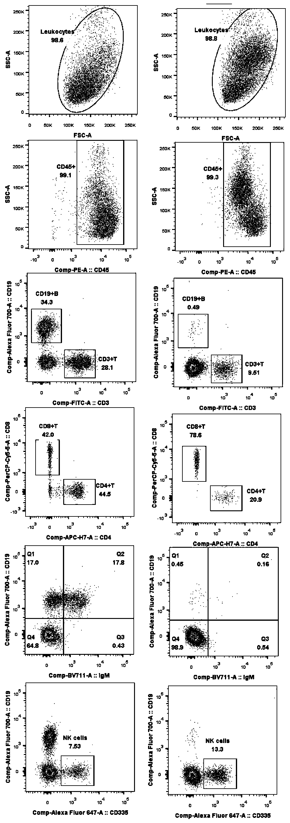 Preparation method of Rag1 gene defect animal model and application thereof