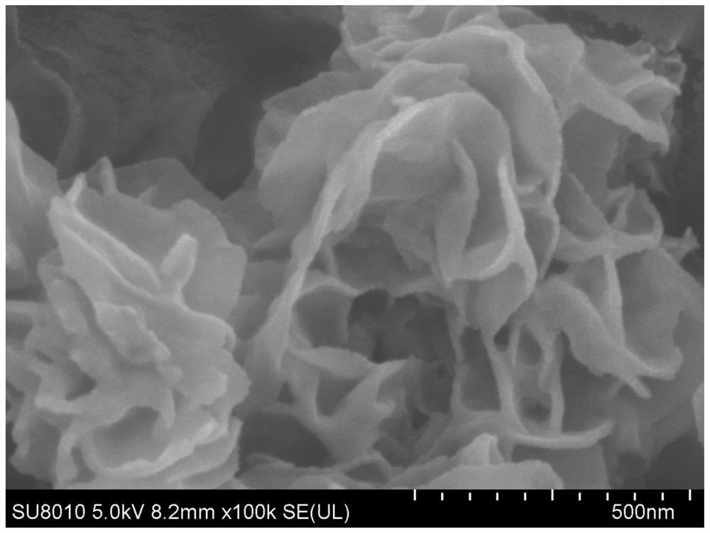 Anode for microbial fuel cell, preparation method of anode and microbial fuel cell