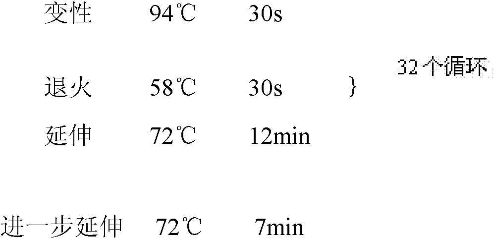 Application of Ectoine used as synergist in PCR