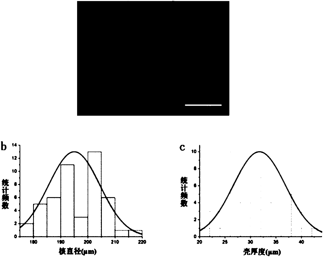 Preparation method of gelatin methacrylamide core-shell microsphere based on microfluidics technique