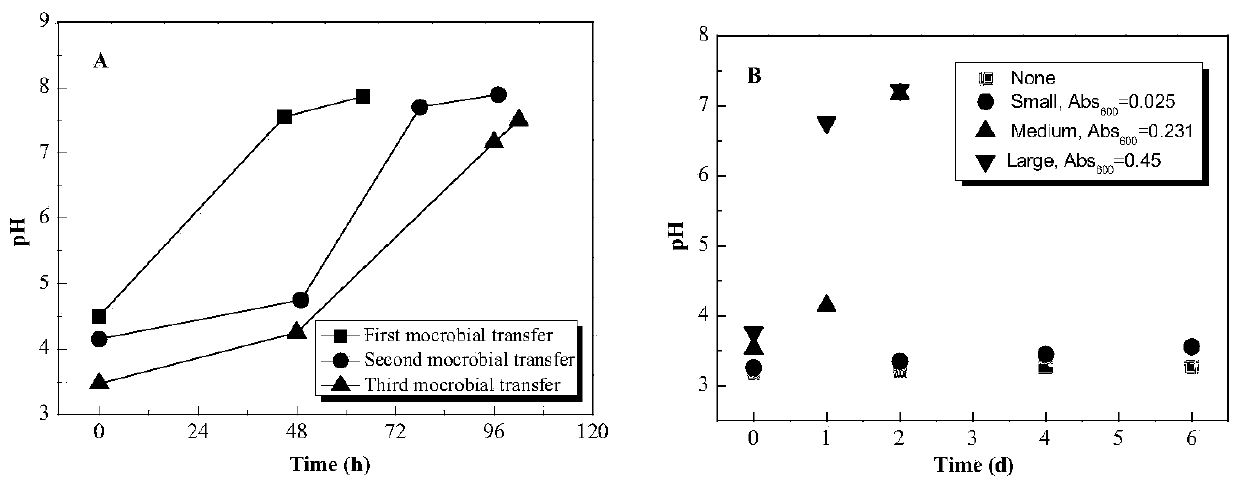 Acid-tolerant bacterium group and application thereof in treating Fenton acidic effluent