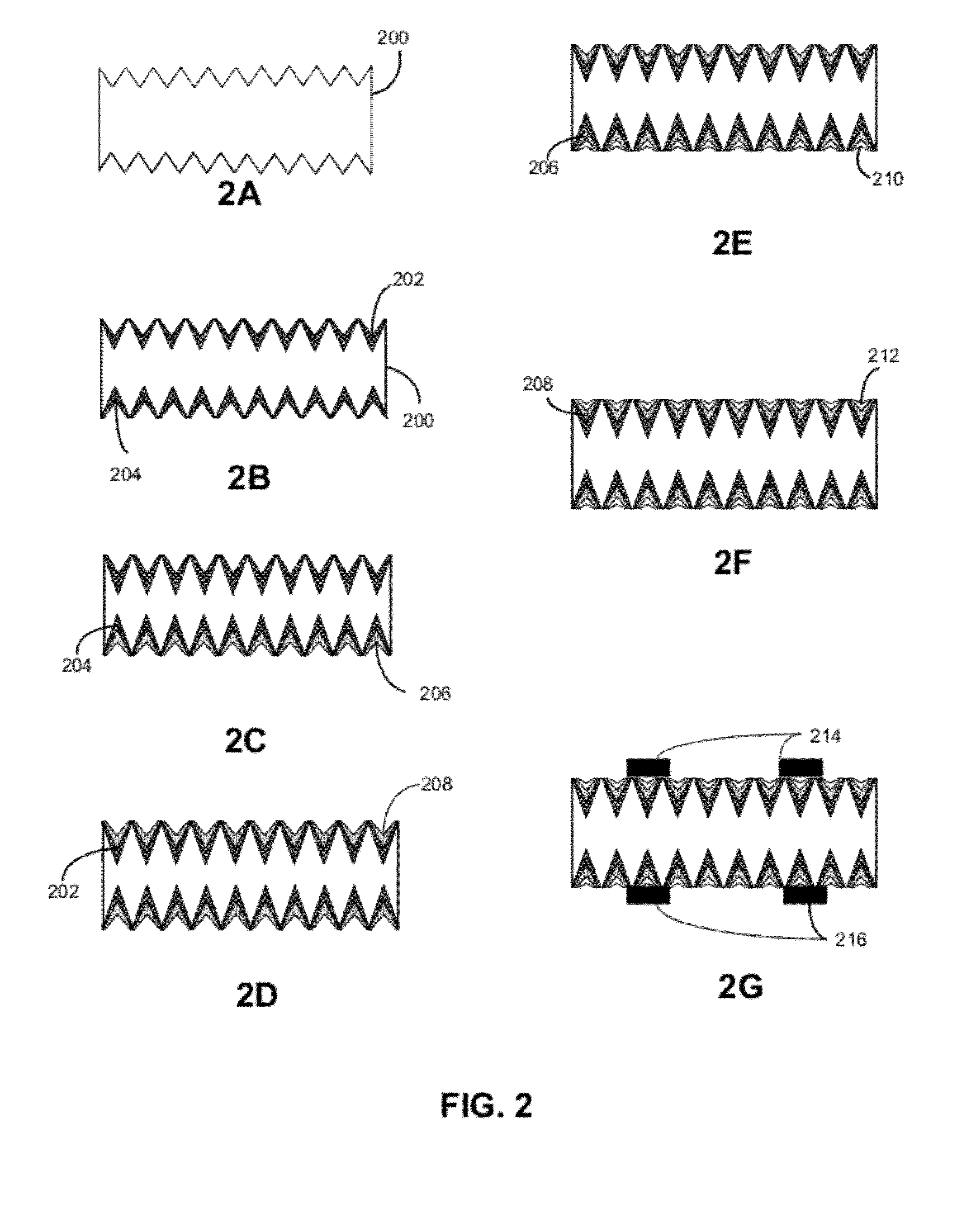 Back junction solar cell with tunnel oxide