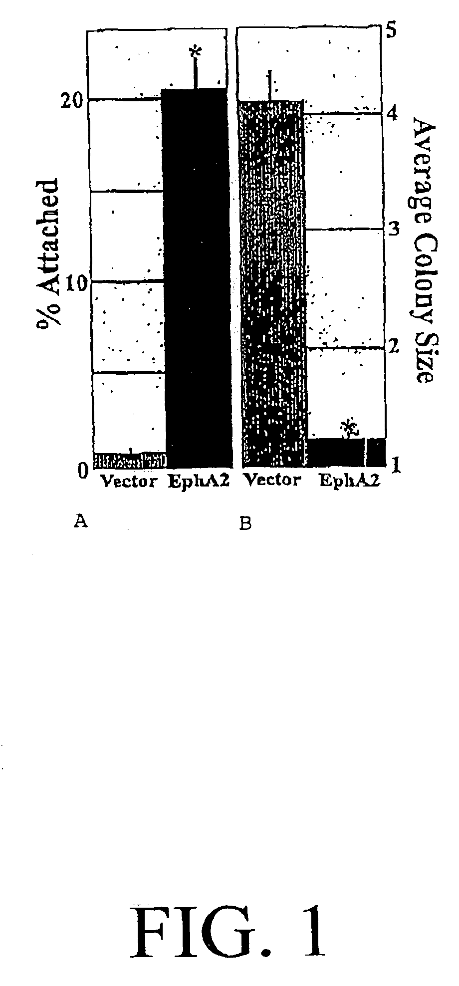 EphA2 monoclonal antibodies and methods of making and using same