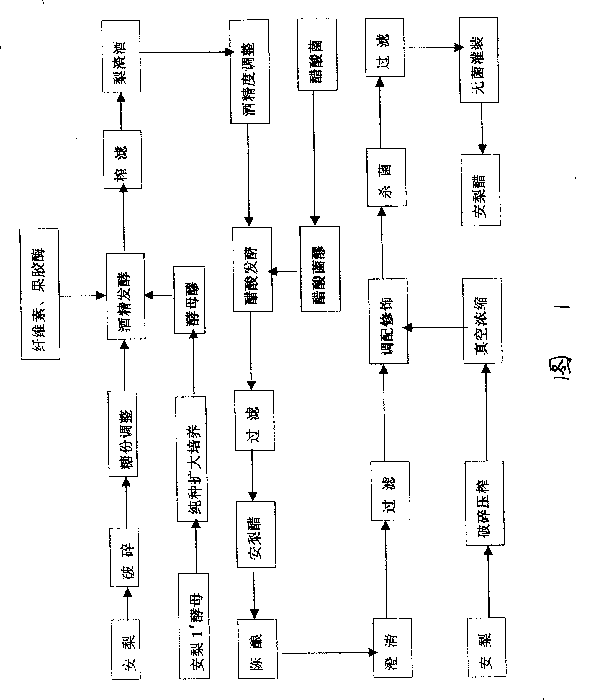 Brewing technology of pear drink vinegar