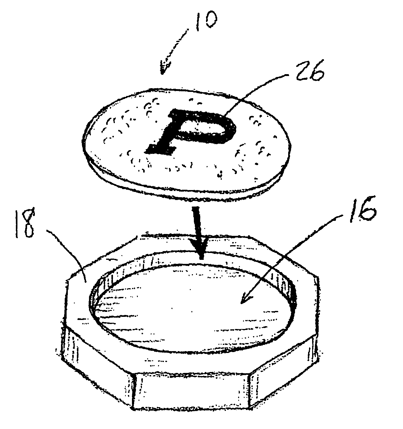 Absorbent coaster insert