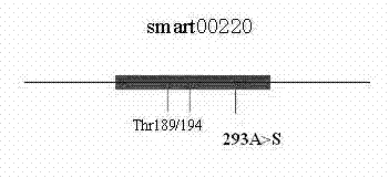 Application of Thrazolopyrimidine Compounds in the Preparation of Medicines for Treating Lung Cancer