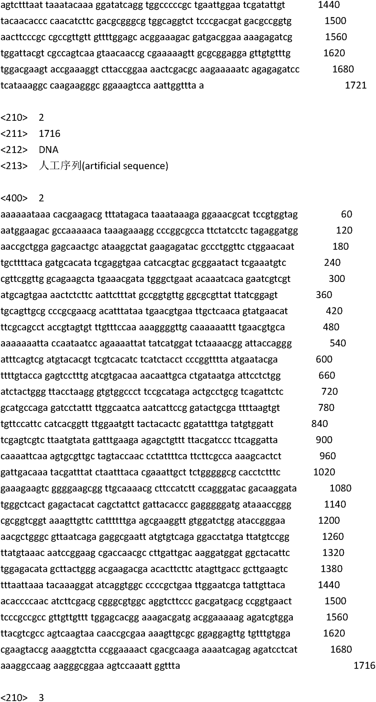 Protein synthesis efficiency enhancing RNA element