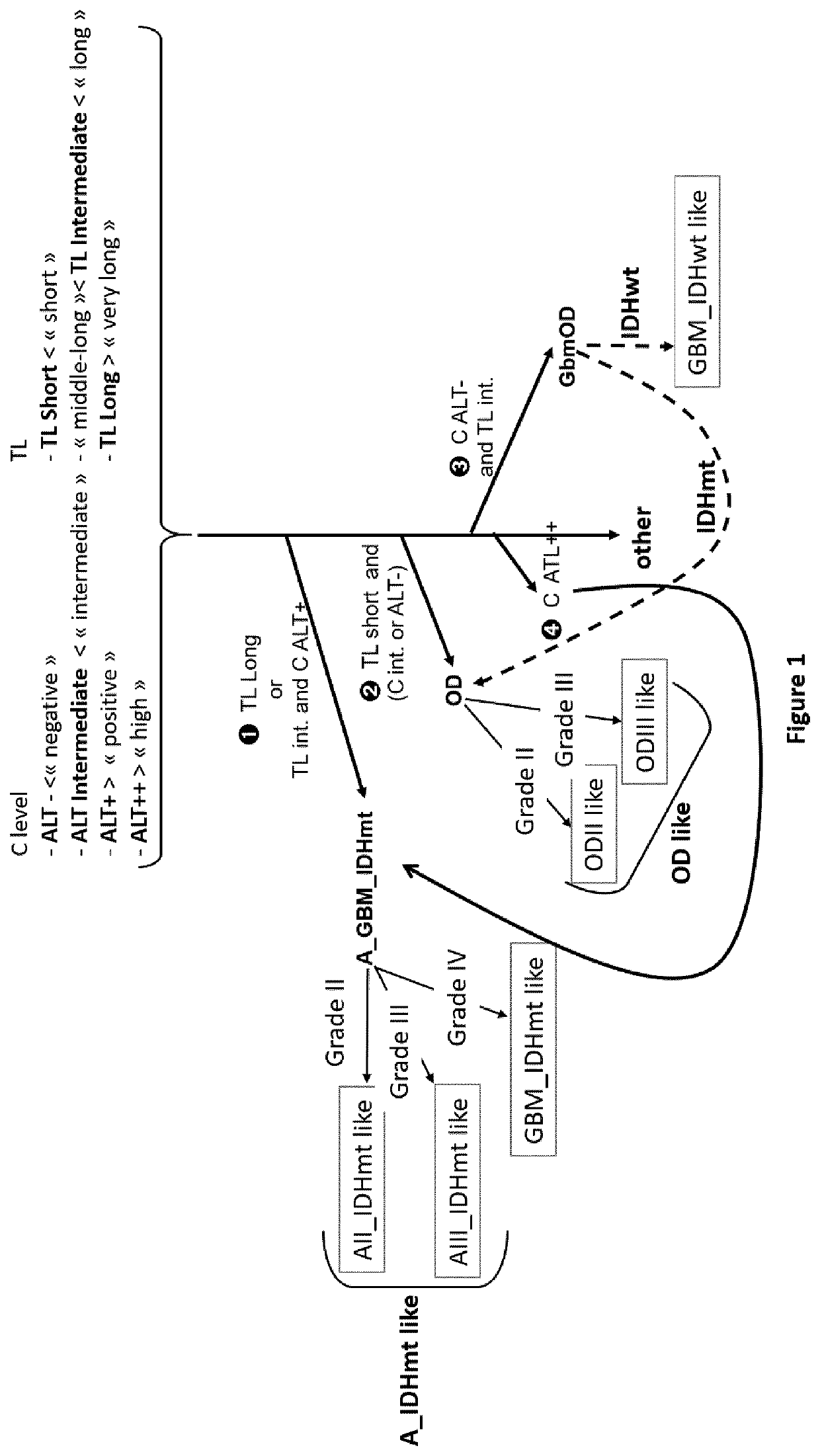 Process for classification of glioma