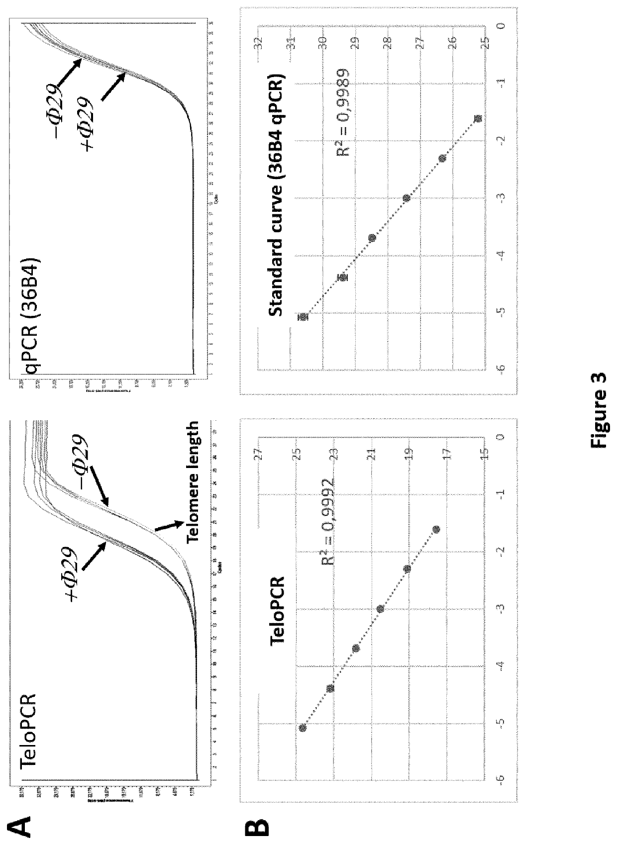 Process for classification of glioma