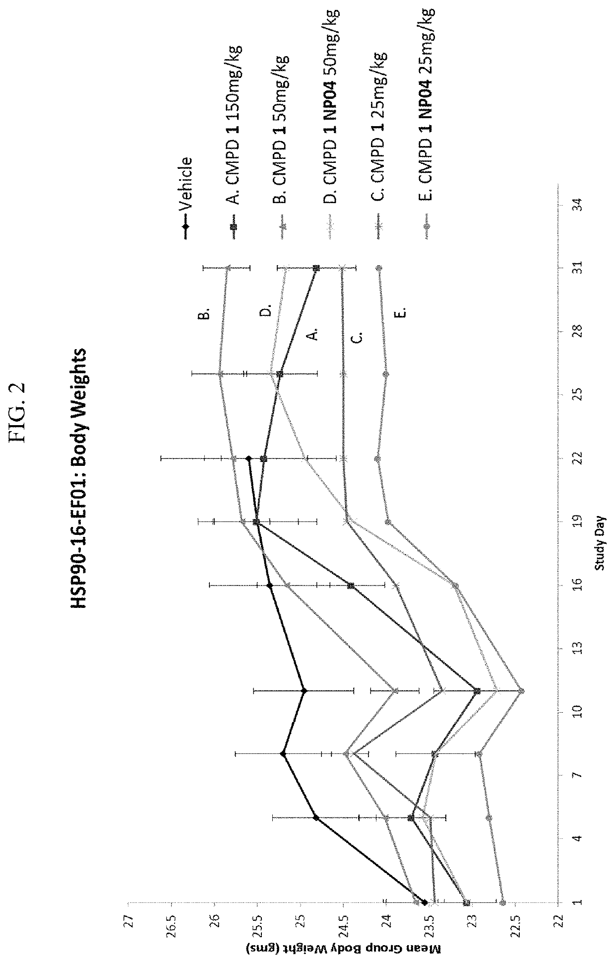 HSP90 targeted conjugates and particles and formulations thereof