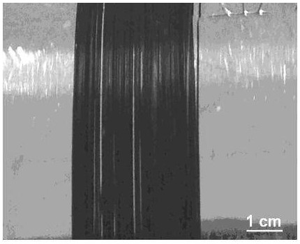A continuous macroscopic graphene nanoribbon fiber and preparation method thereof