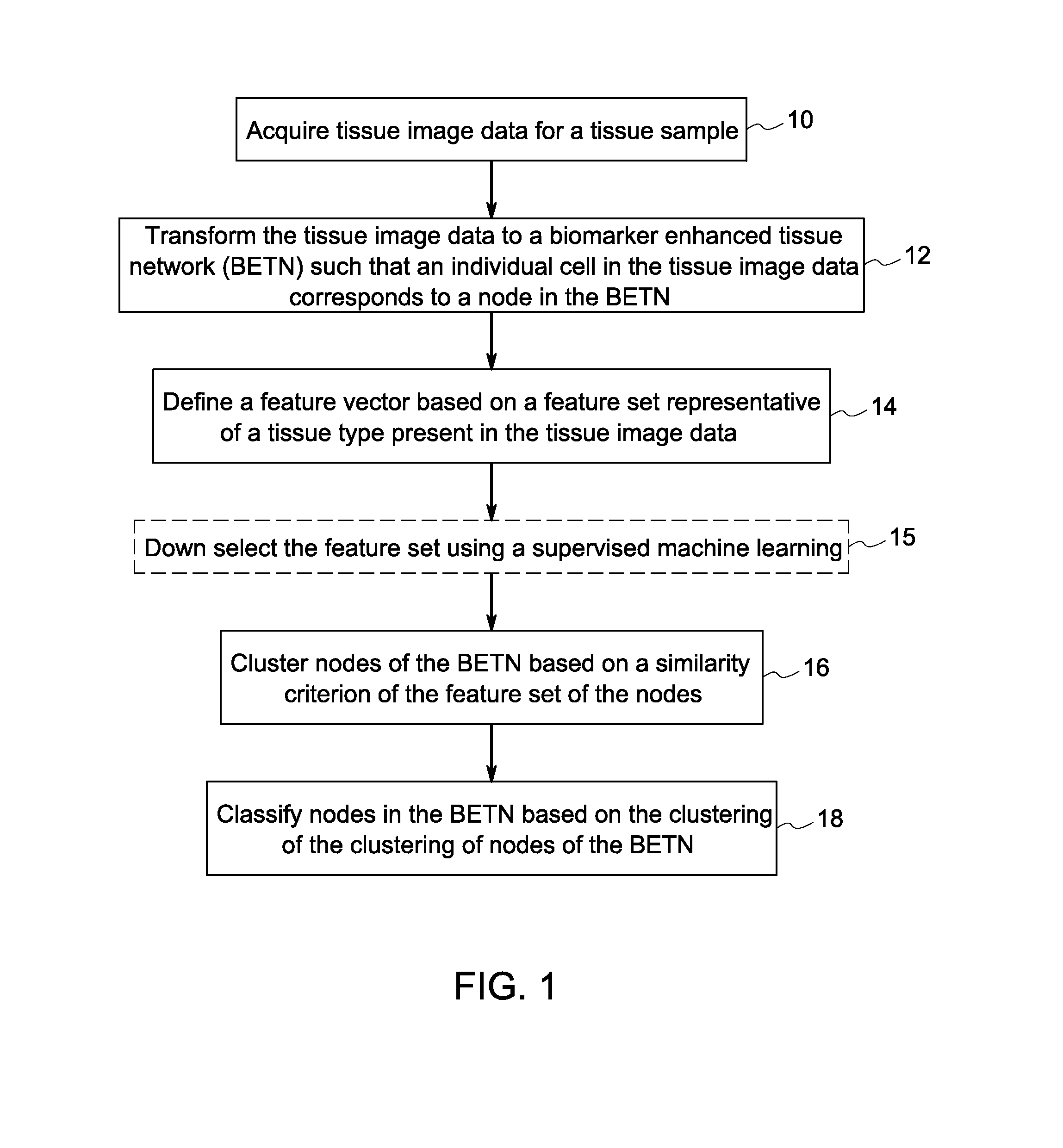 Systems and methods for tissue classification