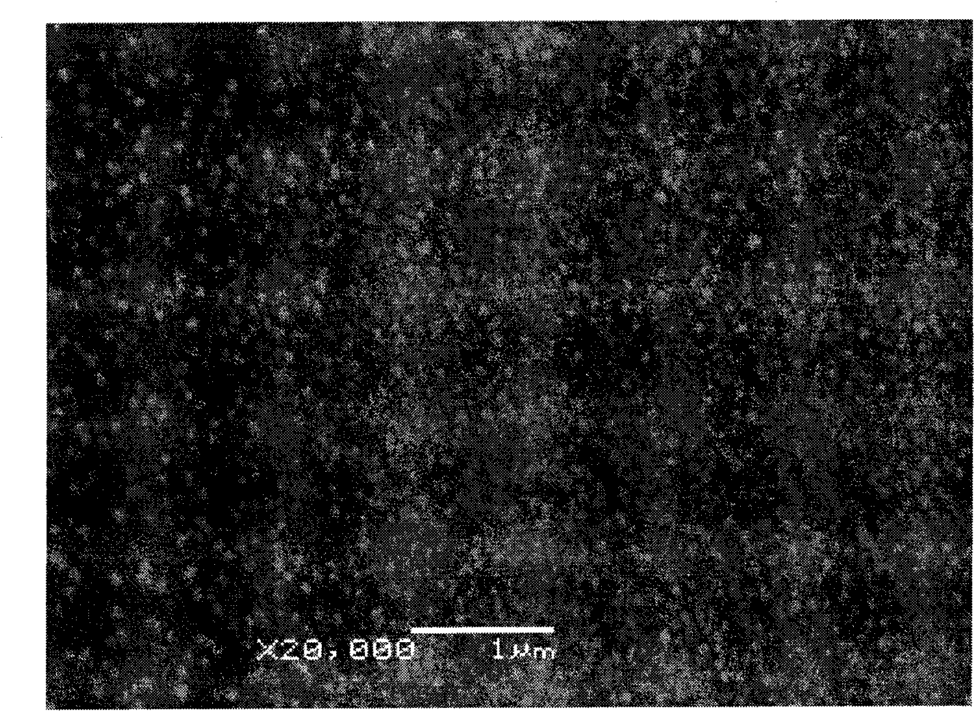 Nano-micro structure silibinin drug composite powder and preparation method thereof