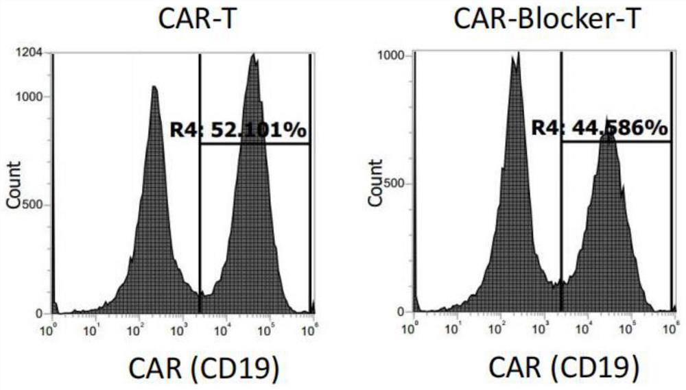 Immune cell modified by suppressor protein blocking type chimeric antigen receptor and application of immune cell