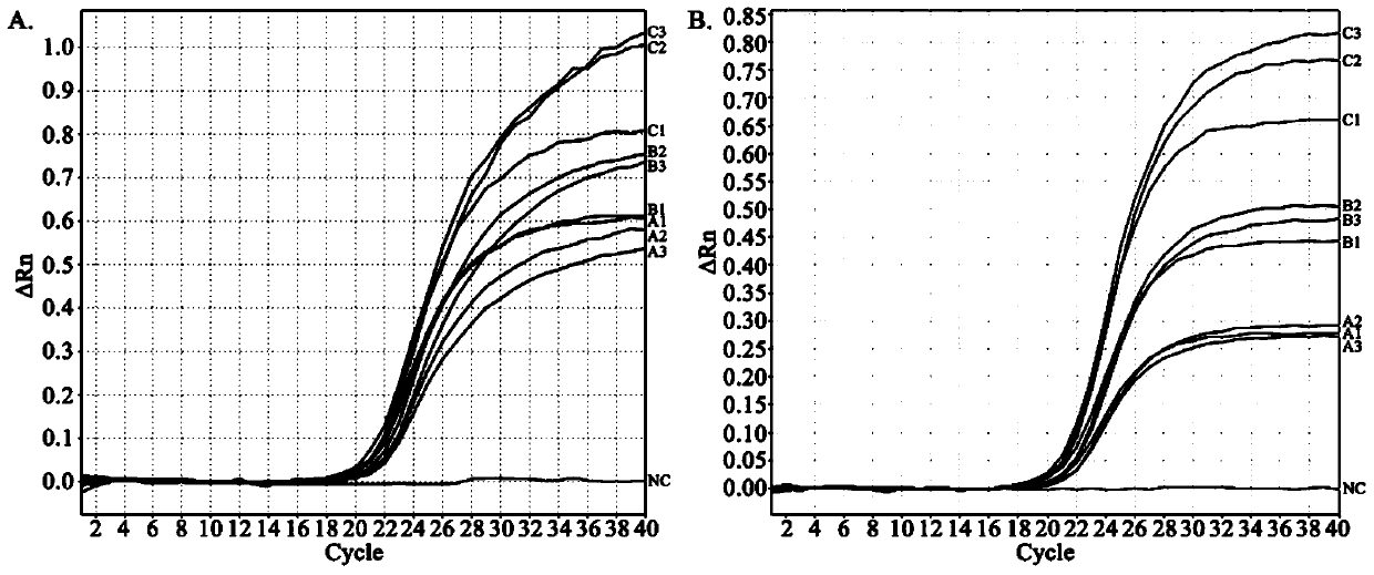 A dual fluorescent quantitative PCR primer, kit and method for simultaneous detection of Streptococcus suis universal type and Streptococcus suis type 2