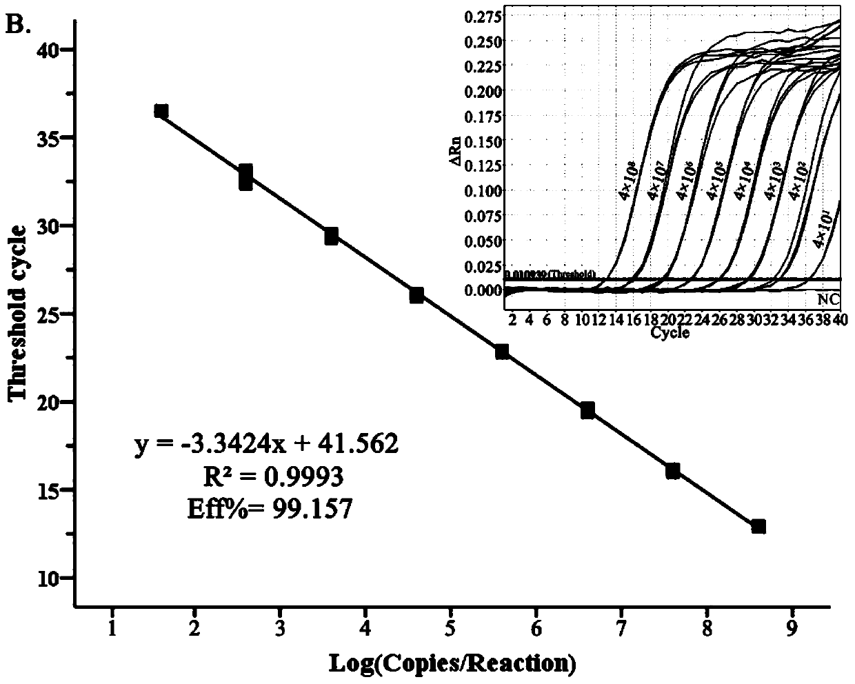 A dual fluorescent quantitative PCR primer, kit and method for simultaneous detection of Streptococcus suis universal type and Streptococcus suis type 2