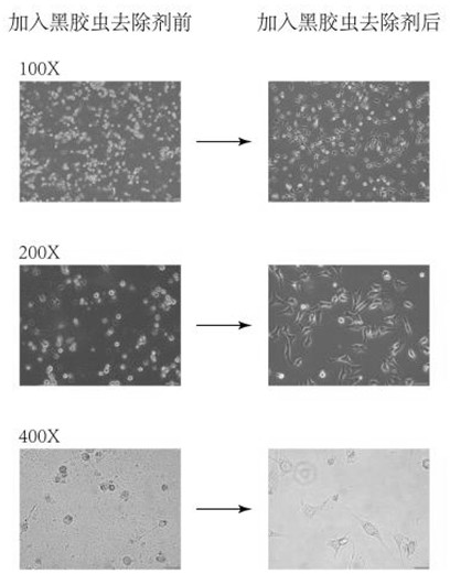 Black dots remover and application thereof