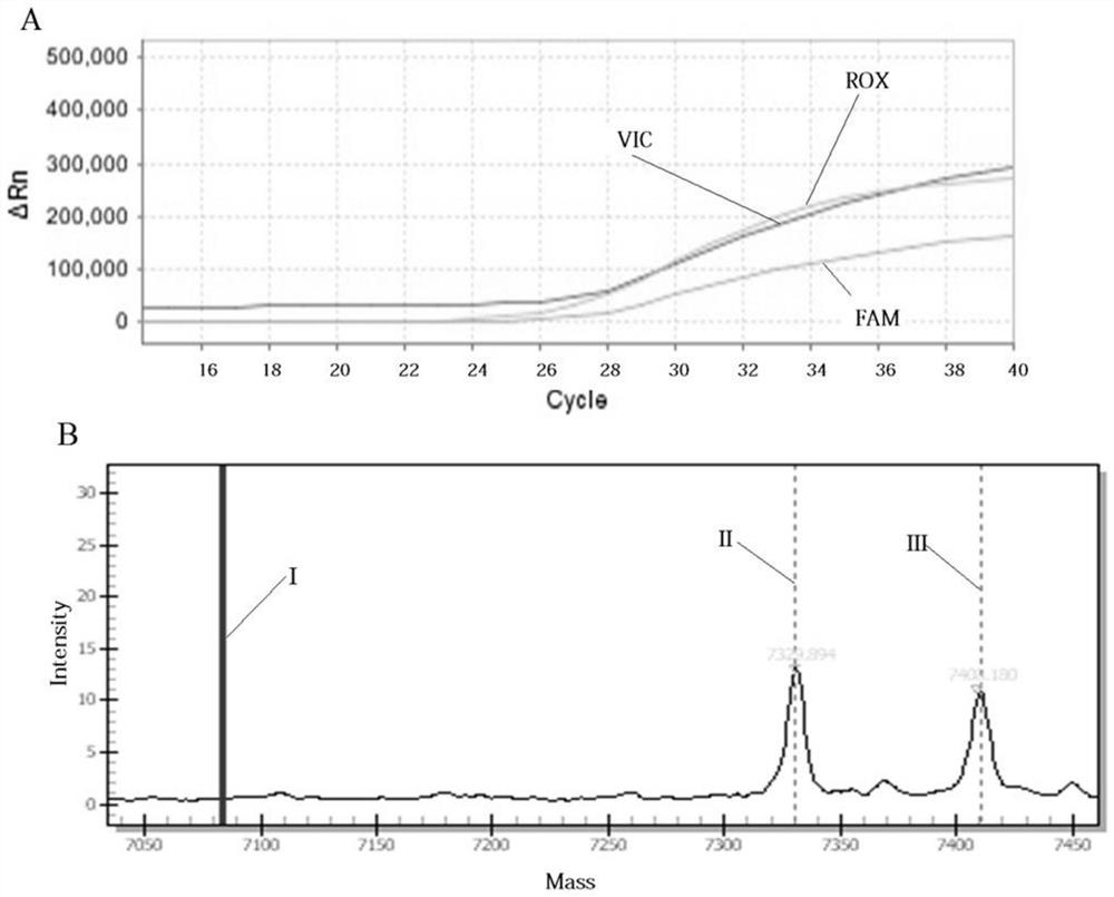 Multi-SNP locus genetic typing method based on nMALDI-TOF technology