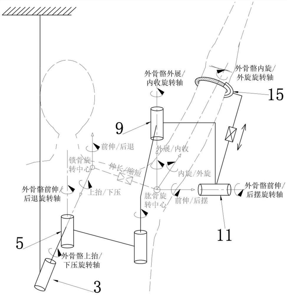 Compliant shoulder rehabilitation exoskeleton