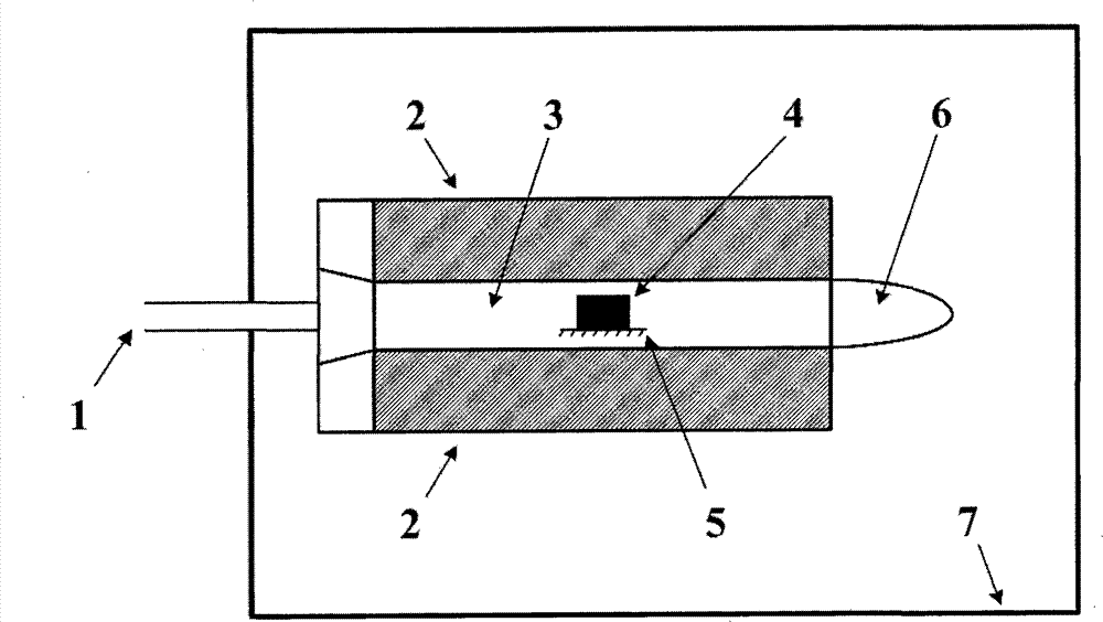 Atmosphere cold plasma disinfection method