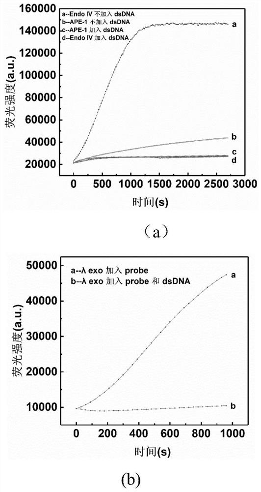 A method for specific regulation of nuclease activity