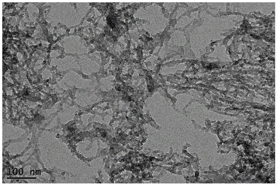 Chitin nano-fibril and preparation method thereof