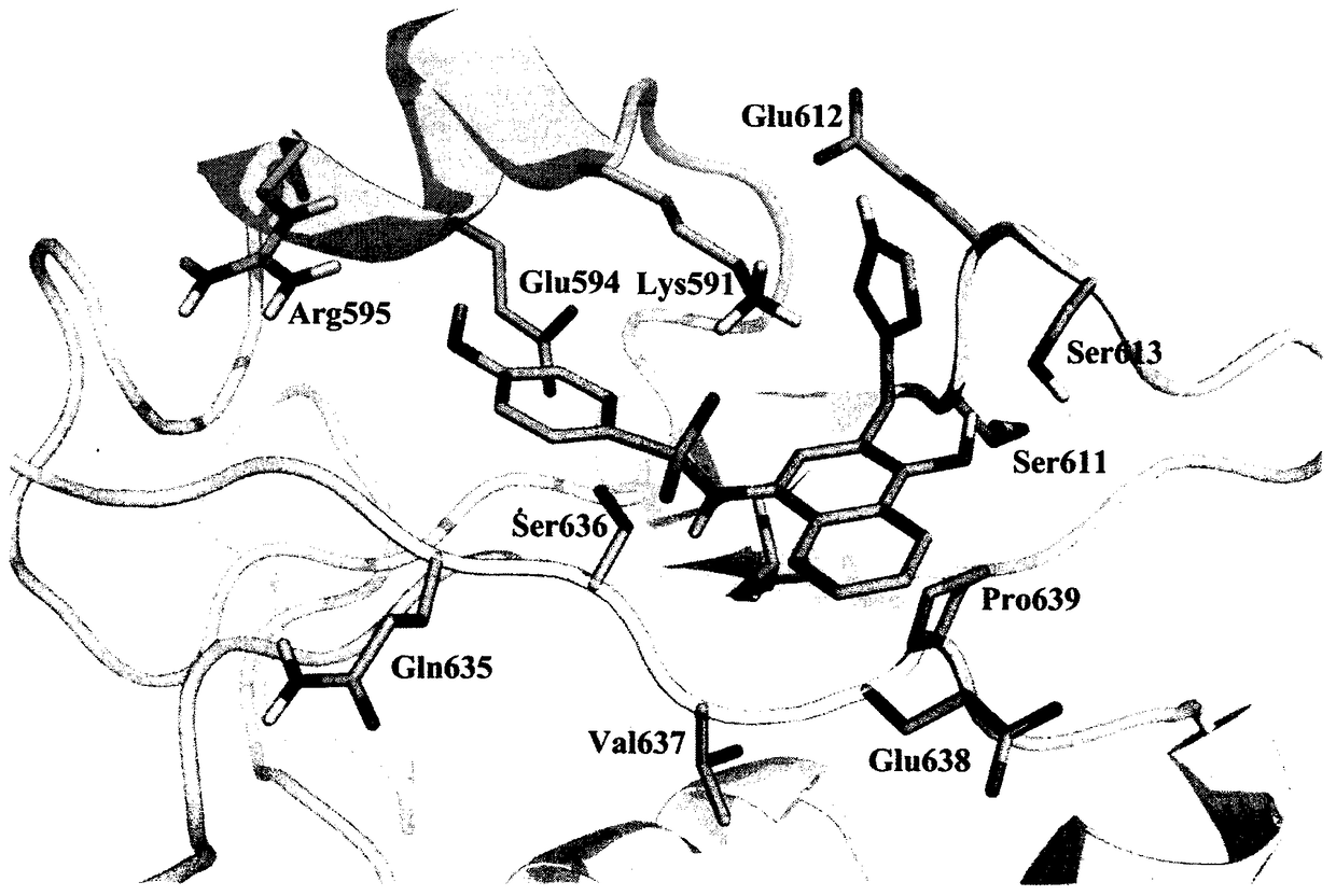 Preparation and uses of a class of novel signal transducer and activator of transcription type3 (STAT3) inhibitors