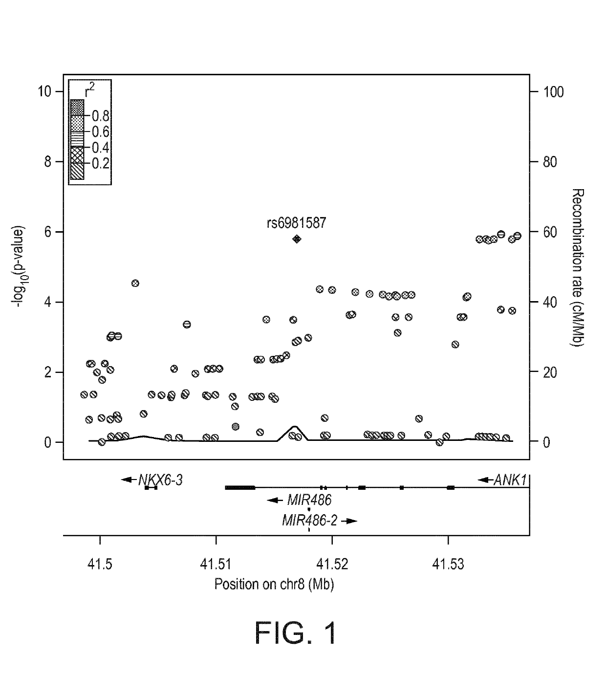 Biomarkers for predicting degree of weight loss