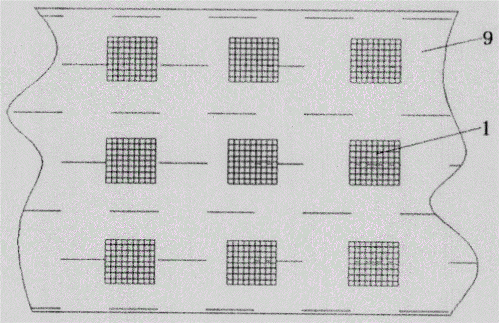 Method for water environmental modification by microbial bag